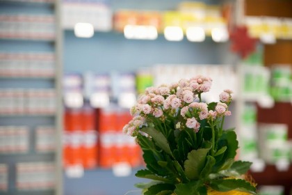 Bild aus Impressionen